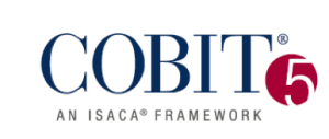 Cobit11